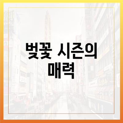 벚꽃 시즌의 매력