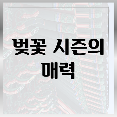 벚꽃 시즌의 매력