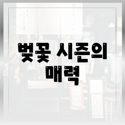 벚꽃 시즌의 매력