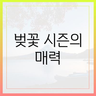 벚꽃 시즌의 매력
