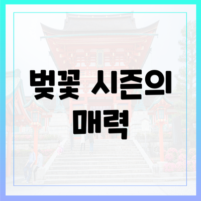 벚꽃 시즌의 매력