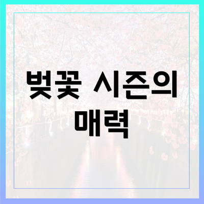 벚꽃 시즌의 매력