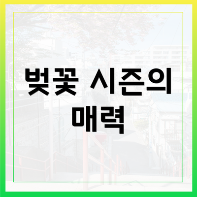 벚꽃 시즌의 매력