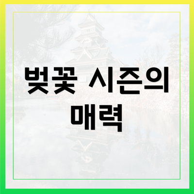 벚꽃 시즌의 매력