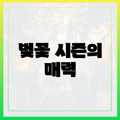 벚꽃 시즌의 매력