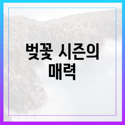 벚꽃 시즌의 매력