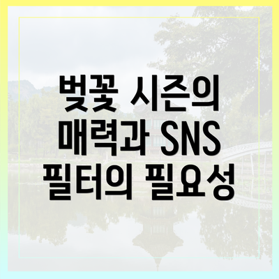 벚꽃 시즌의 매력과 SNS 필터의 필요성