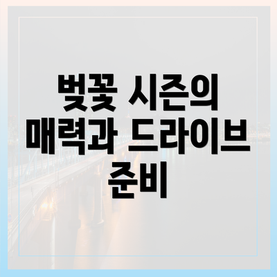 벚꽃 시즌의 매력과 드라이브 준비
