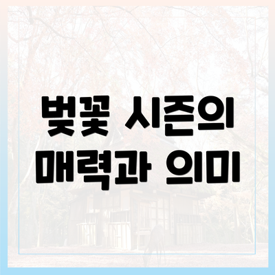 벚꽃 시즌의 매력과 의미