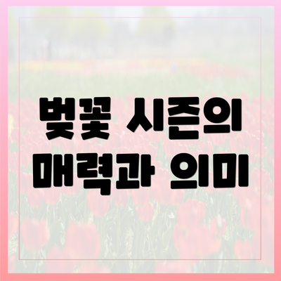 벚꽃 시즌의 매력과 의미