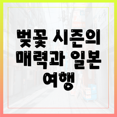 벚꽃 시즌의 매력과 일본 여행