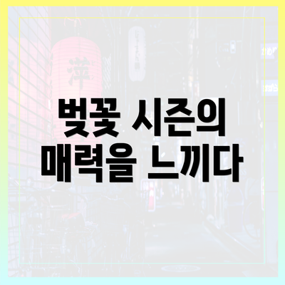 벚꽃 시즌의 매력을 느끼다