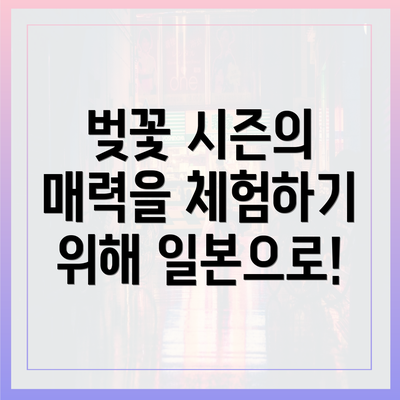 벚꽃 시즌의 매력을 체험하기 위해 일본으로!