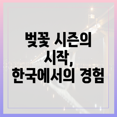 벚꽃 시즌의 시작, 한국에서의 경험