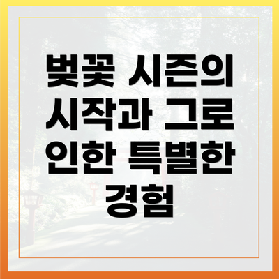 벚꽃 시즌의 시작과 그로 인한 특별한 경험