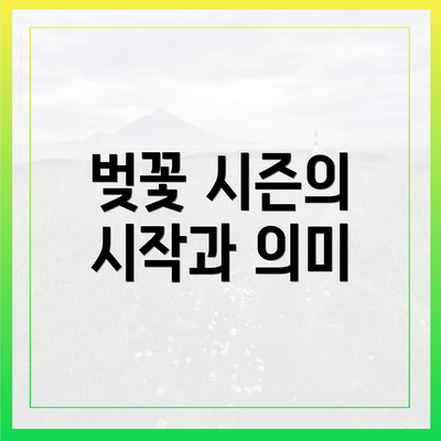 벚꽃 시즌의 시작과 의미