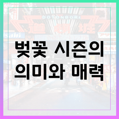 벚꽃 시즌의 의미와 매력
