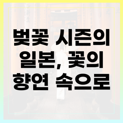 벚꽃 시즌의 일본, 꽃의 향연 속으로