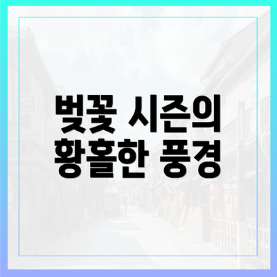 벚꽃 시즌의 황홀한 풍경