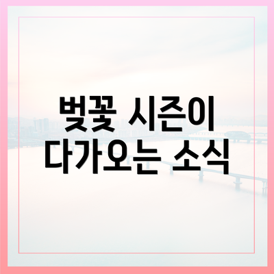 벚꽃 시즌이 다가오는 소식