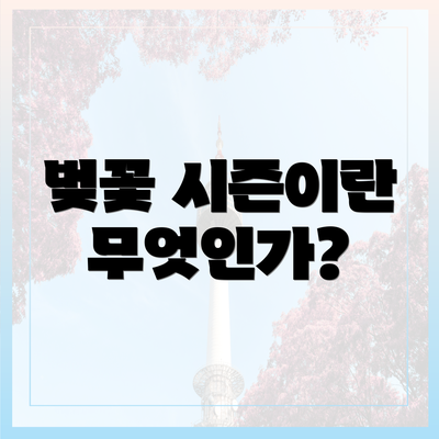 벚꽃 시즌이란 무엇인가?