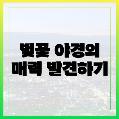 벚꽃 야경의 매력 발견하기