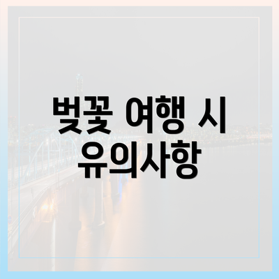 벚꽃 여행 시 유의사항