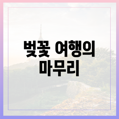 벚꽃 여행의 마무리