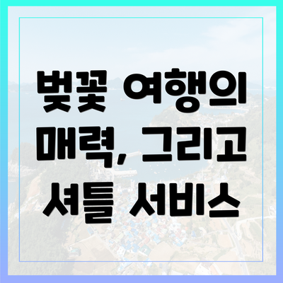 벚꽃 여행의 매력, 그리고 셔틀 서비스