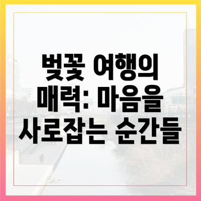 벚꽃 여행의 매력: 마음을 사로잡는 순간들