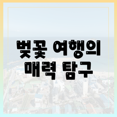벚꽃 여행의 매력 탐구