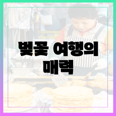 벚꽃 여행의 매력