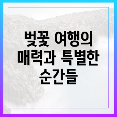 벚꽃 여행의 매력과 특별한 순간들