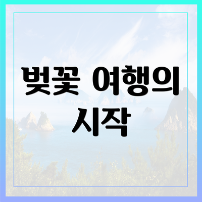 벚꽃 여행의 시작