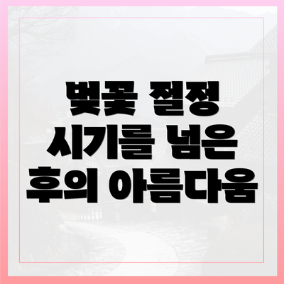 벚꽃 절정 시기를 넘은 후의 아름다움