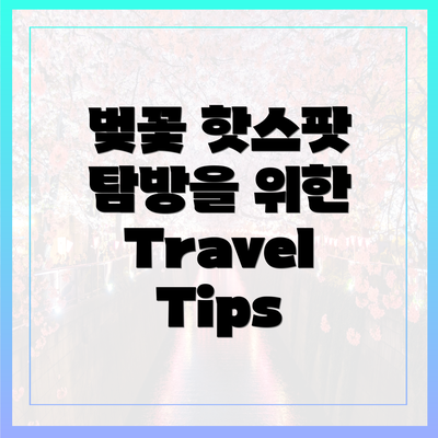 벚꽃 핫스팟 탐방을 위한 Travel Tips
