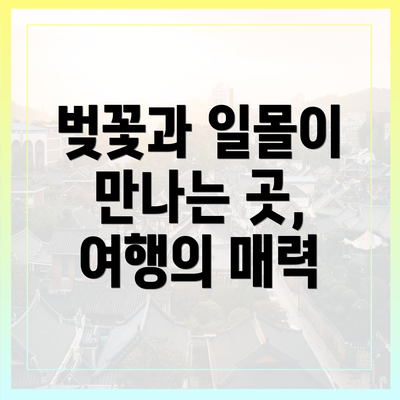 벚꽃과 일몰이 만나는 곳, 여행의 매력