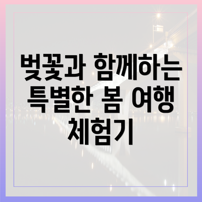 벚꽃과 함께하는 특별한 봄 여행 체험기