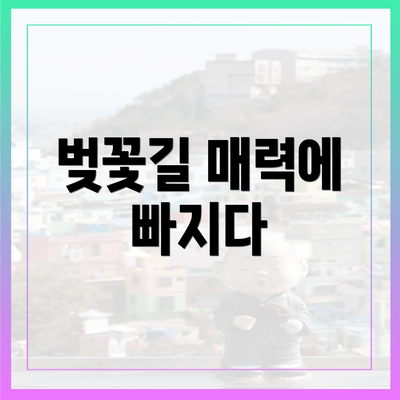 벚꽃길 매력에 빠지다