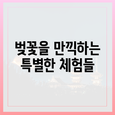벚꽃을 만끽하는 특별한 체험들