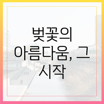 벚꽃의 아름다움, 그 시작