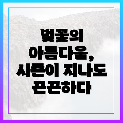 벚꽃의 아름다움, 시즌이 지나도 끈끈하다