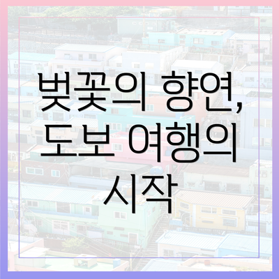 벚꽃의 향연, 도보 여행의 시작