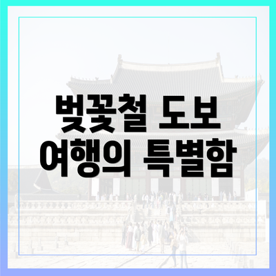 벚꽃철 도보 여행의 특별함