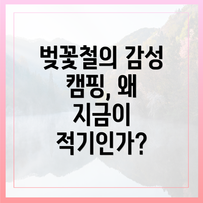 벚꽃철의 감성 캠핑, 왜 지금이 적기인가?