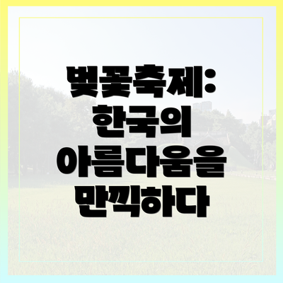 벚꽃축제: 한국의 아름다움을 만끽하다