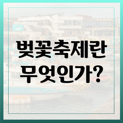 벚꽃축제란 무엇인가?