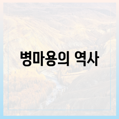 병마용의 역사