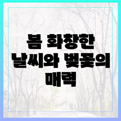 봄 화창한 날씨와 벚꽃의 매력