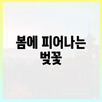봄에 피어나는 벚꽃